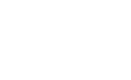 zgt logo